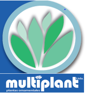 Multiplant