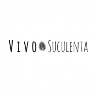 Vivo Suculenta