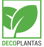 Decoplantas