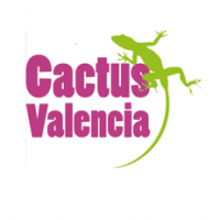 Cactus Valencia